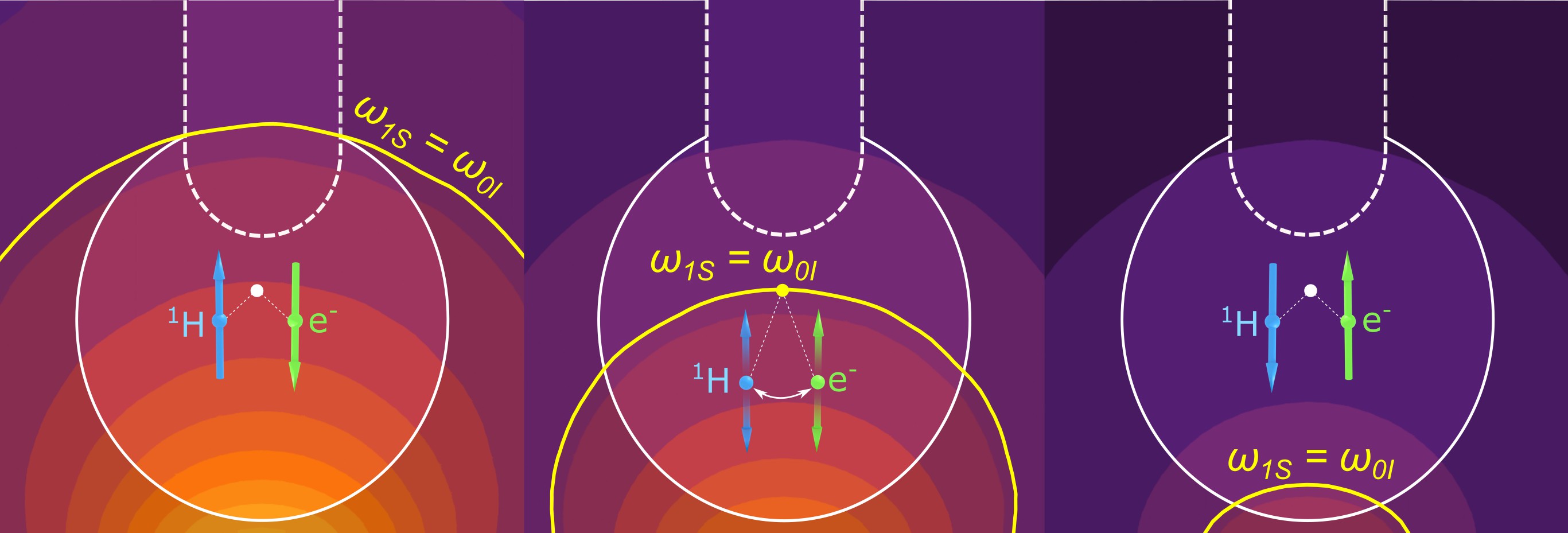 image from Work on DNP published in Science Advances